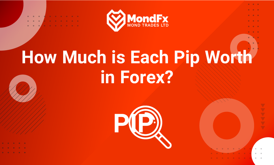 How Much is Each Pip Worth in Forex?