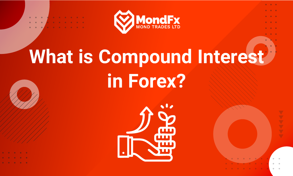 compound-interest-in-forex