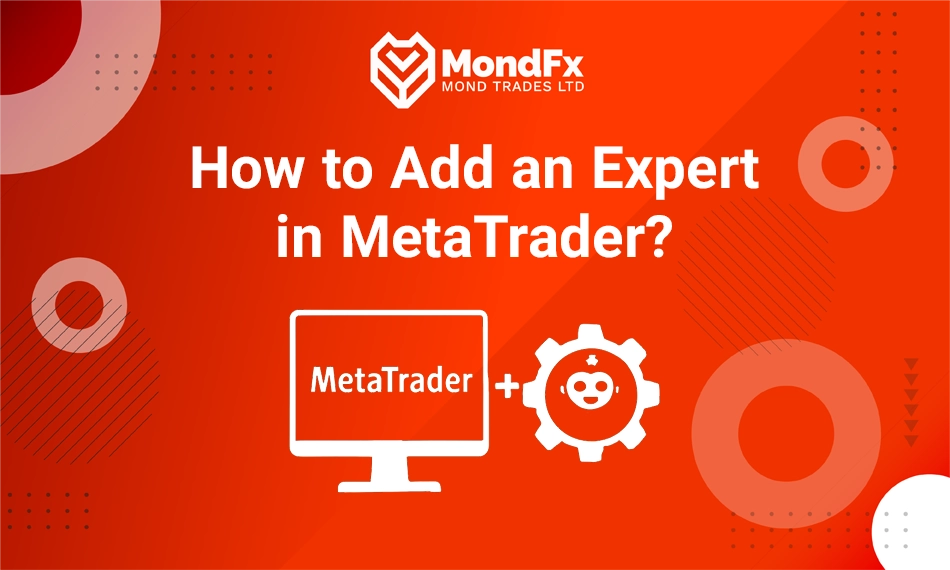 How to Add an Expert in MetaTrader?