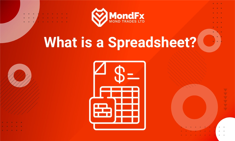 What is a Spreadsheet?